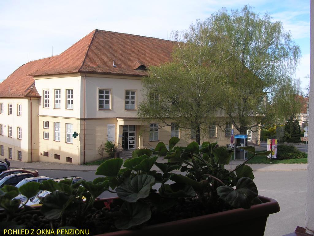 Penzion U Zabaka Mikulov Exteriör bild