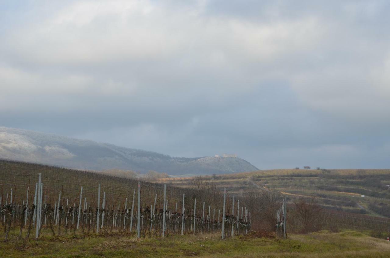 Penzion U Zabaka Mikulov Exteriör bild