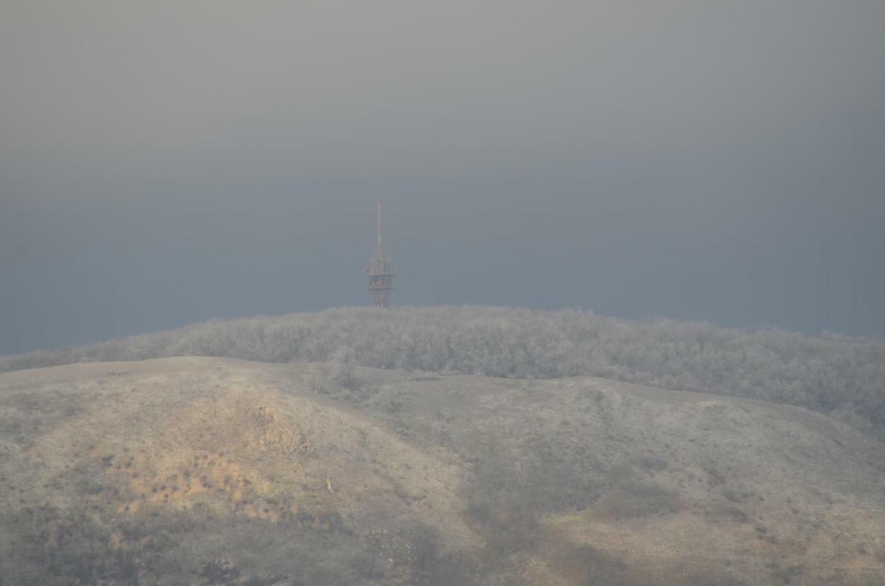 Penzion U Zabaka Mikulov Exteriör bild